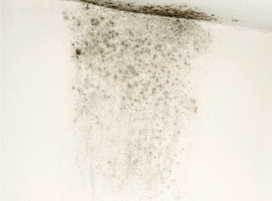 익산 주택 아파트 공장 결로검사 결로공사 시공업체