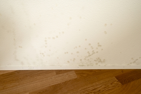 익산 주택 아파트 공장 결로검사 결로공사 시공업체M